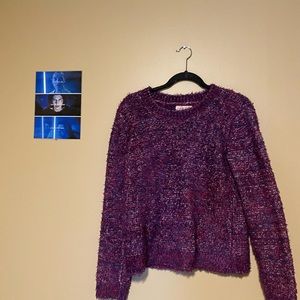 🐰Lou and grey loft purple fuzzy sweater🐰